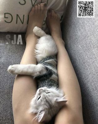 亚洲av精品软件电影_在线观看电视剧